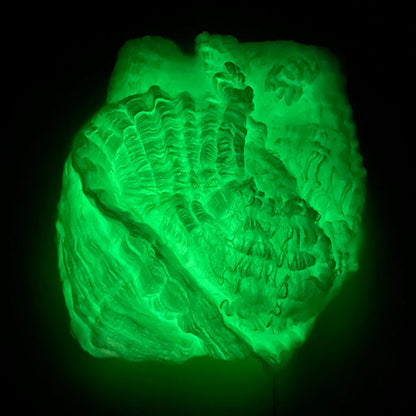 Toiles d'Araégnée Fluorescentes Halloween - Phosphorescentes dans le Noir - Décoration Horreur Extérieure